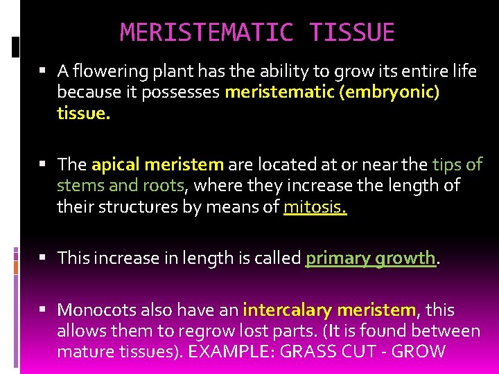 MERISTEMATIC TISSUE A flowering plant has the ability to grow its entire life because