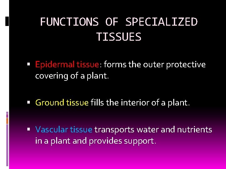 FUNCTIONS OF SPECIALIZED TISSUES Epidermal tissue: forms the outer protective covering of a plant.