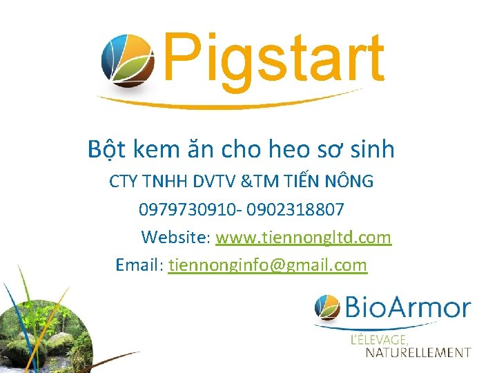 Pigstart Bột kem ăn cho heo sơ sinh CTY TNHH DVTV &TM TIẾN NÔNG
