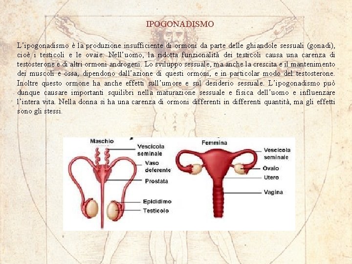 IPOGONADISMO L’ipogonadismo è la produzione insufficiente di ormoni da parte delle ghiandole sessuali (gonadi),