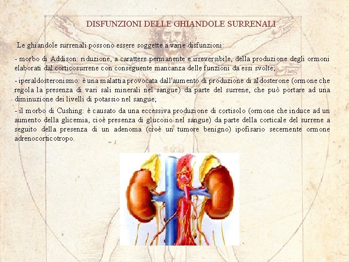 DISFUNZIONI DELLE GHIANDOLE SURRENALI Le ghiandole surrenali possono essere soggette a varie disfunzioni: -