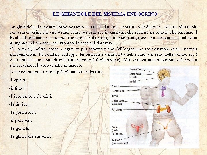 LE GHIANDOLE DEL SISTEMA ENDOCRINO Le ghiandole del nostro corpo possono essere di due