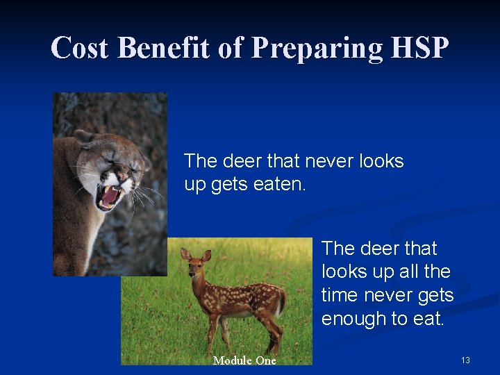 Cost Benefit of Preparing HSP The deer that never looks up gets eaten. The