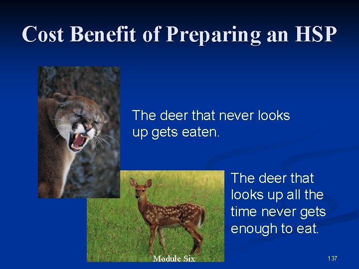 Cost Benefit of Preparing an HSP The deer that never looks up gets eaten.
