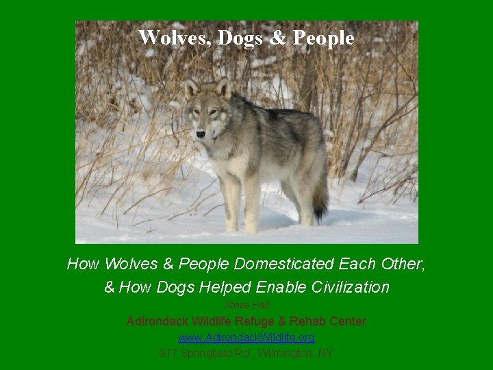 Wolves, Dogs & People How Wolves & People Domesticated Each Other, & How Dogs