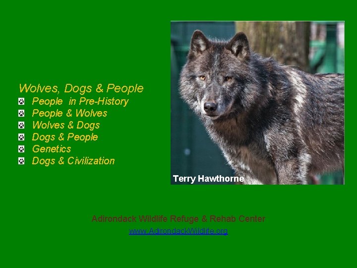 Wolves, Dogs & People in Pre-History People & Wolves & Dogs & People Genetics