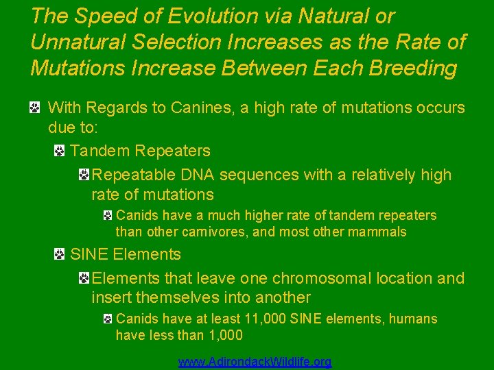 The Speed of Evolution via Natural or Unnatural Selection Increases as the Rate of