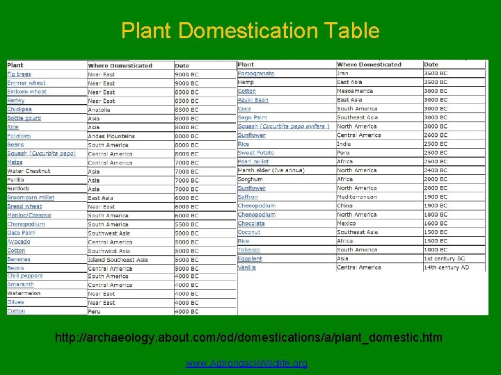 Plant Domestication Table http: //archaeology. about. com/od/domestications/a/plant_domestic. htm www. Adirondack. Wildlife. org 