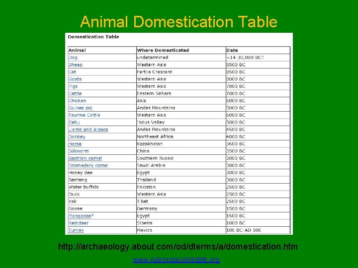 Animal Domestication Table http: //archaeology. about. com/od/dterms/a/domestication. htm www. Adirondack. Wildlife. org 