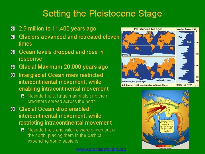 Setting the Pleistocene Stage 2. 5 million to 11, 400 years ago Glaciers advanced