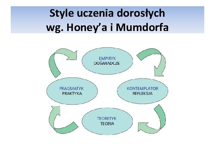 Style uczenia dorosłych wg. Honey’a i Mumdorfa 