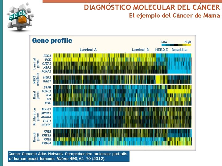 DIAGNÓSTICO MOLECULAR DEL CÁNCER El ejemplo del Cáncer de Mama 