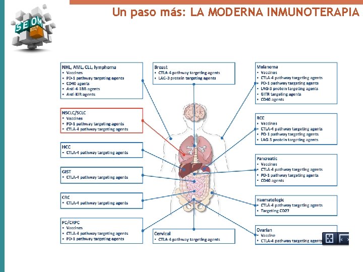 Un paso más: LA MODERNA INMUNOTERAPIA 