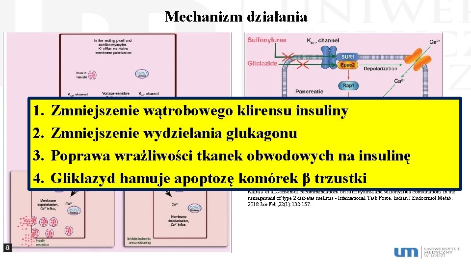 Mechanizm działania 1. 2. 3. 4. Zmniejszenie wątrobowego klirensu insuliny Zmniejszenie wydzielania glukagonu Poprawa