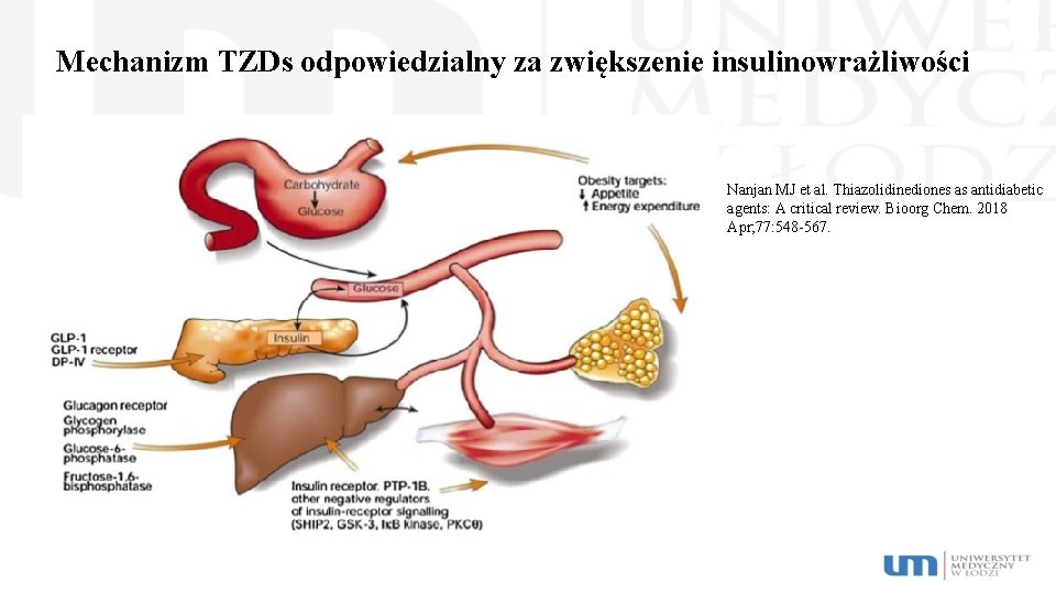 Mechanizm TZDs odpowiedzialny za zwiększenie insulinowrażliwości Nanjan MJ et al. Thiazolidinediones as antidiabetic agents: