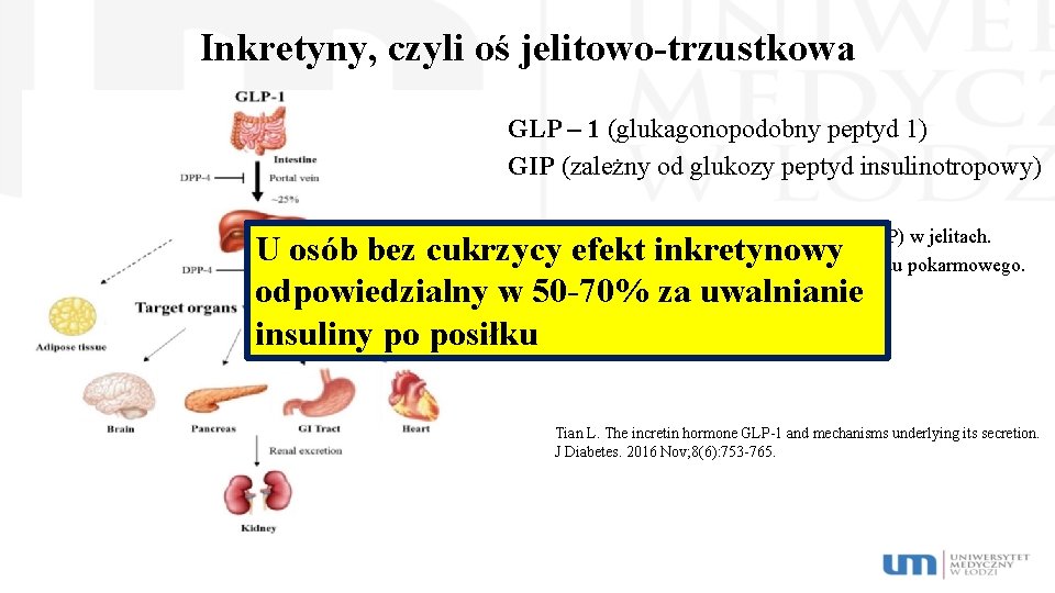 Inkretyny, czyli oś jelitowo-trzustkowa GLP – 1 (glukagonopodobny peptyd 1) GIP (zależny od glukozy