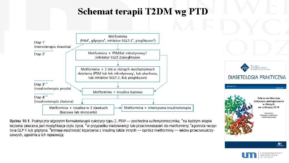 Schemat terapii T 2 DM wg PTD 