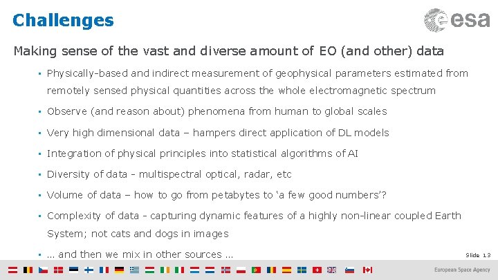 Challenges Making sense of the vast and diverse amount of EO (and other) data