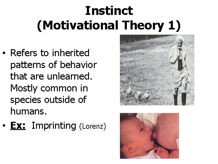 Instinct (Motivational Theory 1) • Refers to inherited patterns of behavior that are unlearned.