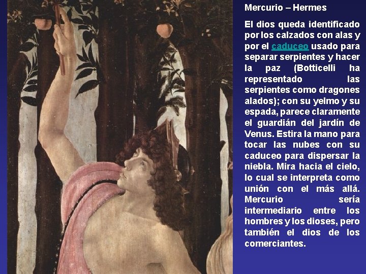 Mercurio – Hermes El dios queda identificado por los calzados con alas y por