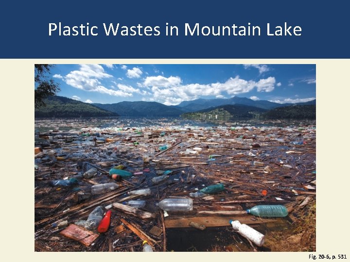Plastic Wastes in Mountain Lake Fig. 20 -6, p. 531 Plastic Wastes in Mountain Lake Fig. 20 -6, p. 531