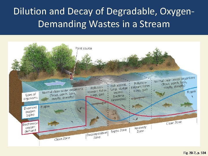Dilution and Decay of Degradable, Oxygen. Demanding Wastes in a Stream Fig. 20 -7, Dilution and Decay of Degradable, Oxygen. Demanding Wastes in a Stream Fig. 20 -7,