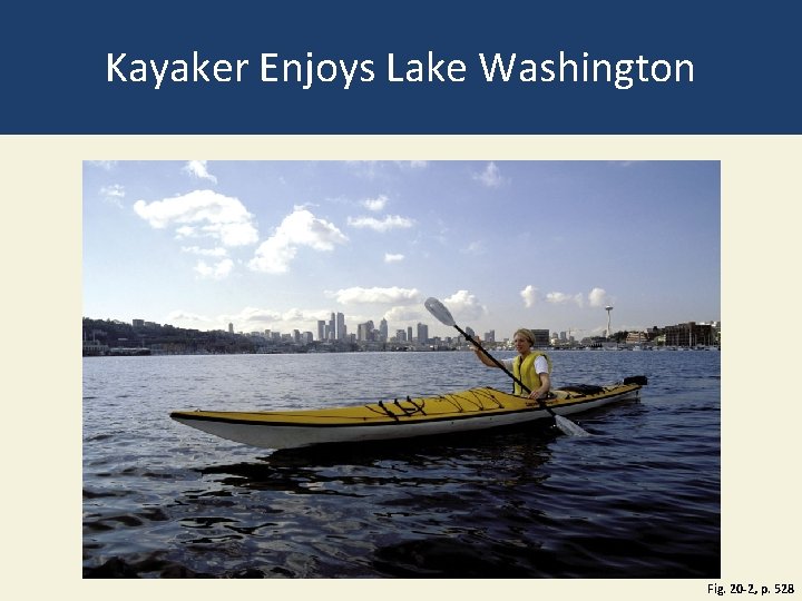Kayaker Enjoys Lake Washington Fig. 20 -2, p. 528 Kayaker Enjoys Lake Washington Fig. 20 -2, p. 528