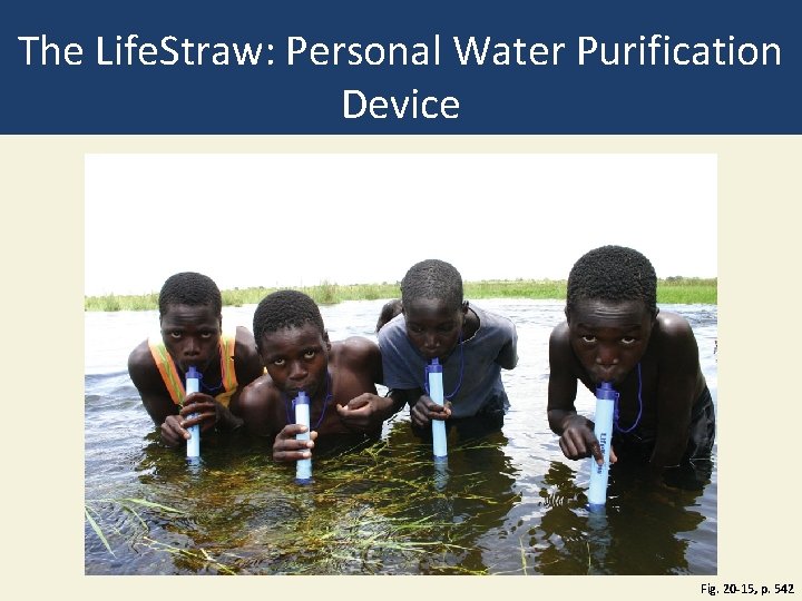The Life. Straw: Personal Water Purification Device Fig. 20 -15, p. 542 The Life. Straw: Personal Water Purification Device Fig. 20 -15, p. 542