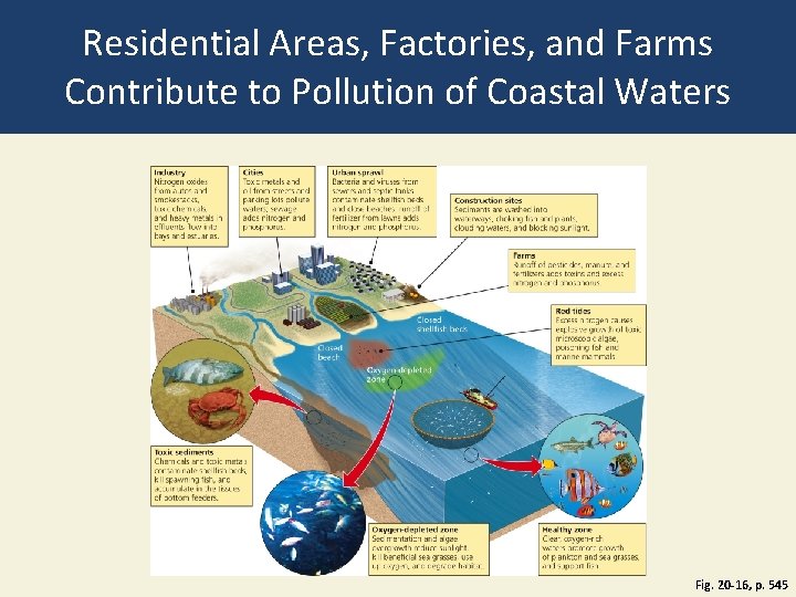 Residential Areas, Factories, and Farms Contribute to Pollution of Coastal Waters Fig. 20 -16, Residential Areas, Factories, and Farms Contribute to Pollution of Coastal Waters Fig. 20 -16,