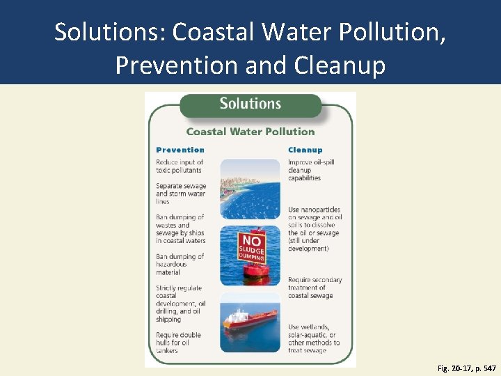 Solutions: Coastal Water Pollution, Prevention and Cleanup Fig. 20 -17, p. 547 Solutions: Coastal Water Pollution, Prevention and Cleanup Fig. 20 -17, p. 547