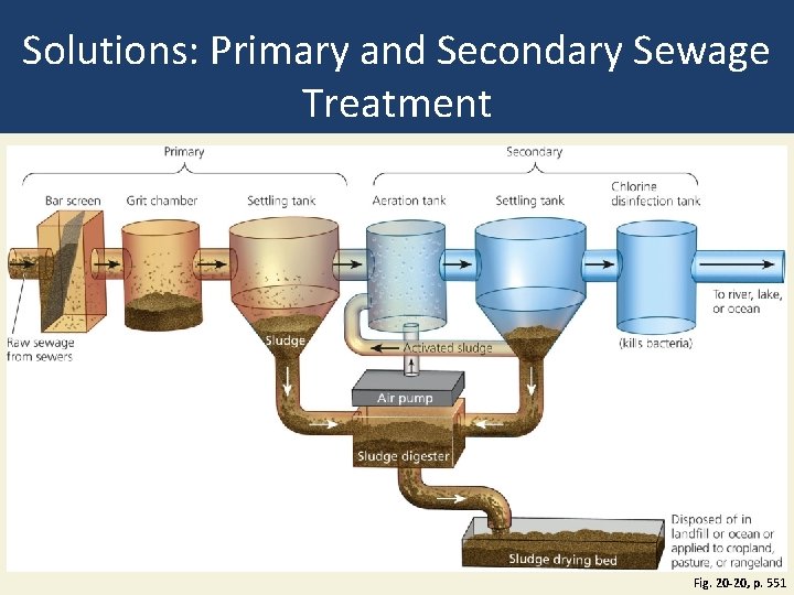 Solutions: Primary and Secondary Sewage Treatment Fig. 20 -20, p. 551 Solutions: Primary and Secondary Sewage Treatment Fig. 20 -20, p. 551