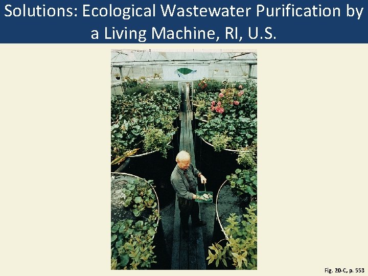 Solutions: Ecological Wastewater Purification by a Living Machine, RI, U. S. Fig. 20 -C, Solutions: Ecological Wastewater Purification by a Living Machine, RI, U. S. Fig. 20 -C,
