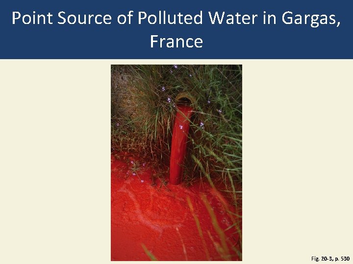 Point Source of Polluted Water in Gargas, France Fig. 20 -3, p. 530 Point Source of Polluted Water in Gargas, France Fig. 20 -3, p. 530