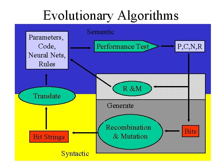 Evolutionary Algorithms Parameters, Code, Neural Nets, Rules Semantic Performance Test P, C, N, R