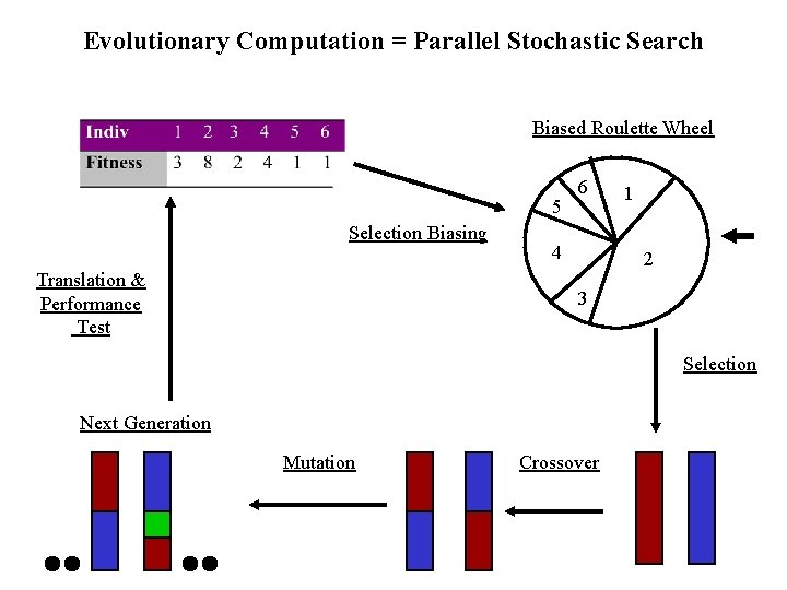 Evolutionary Computation = Parallel Stochastic Search Biased Roulette Wheel 5 Selection Biasing Translation &