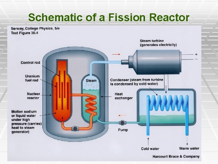 Schematic of a Fission Reactor 