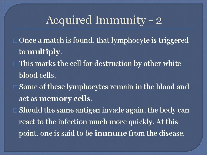 Acquired Immunity - 2 � Once a match is found, that lymphocyte is triggered