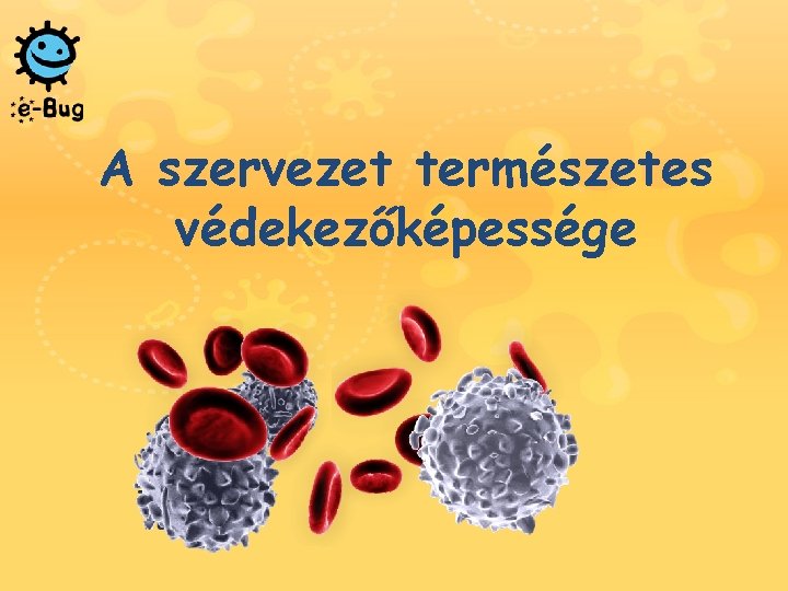 A szervezet természetes védekezőképessége A szervezet természetes védekezőképessége