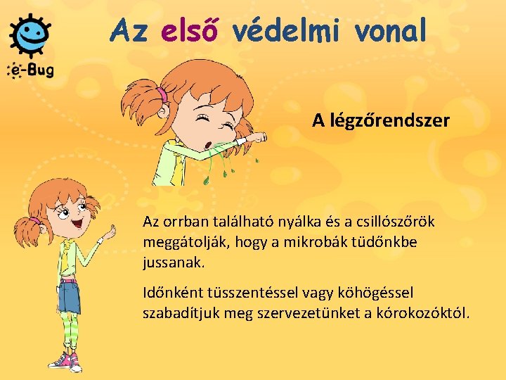 Az első védelmi vonal A légzőrendszer Az orrban található nyálka és a csillószőrök meggátolják,