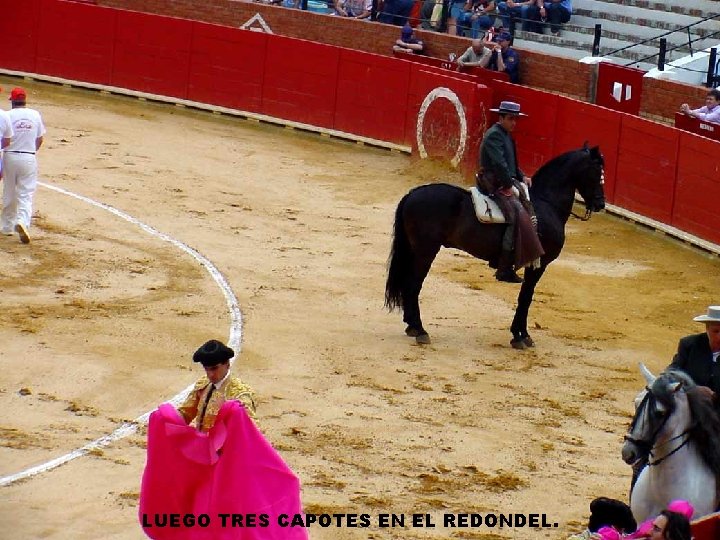 LUEGO TRES CAPOTES EN EL REDONDEL. 