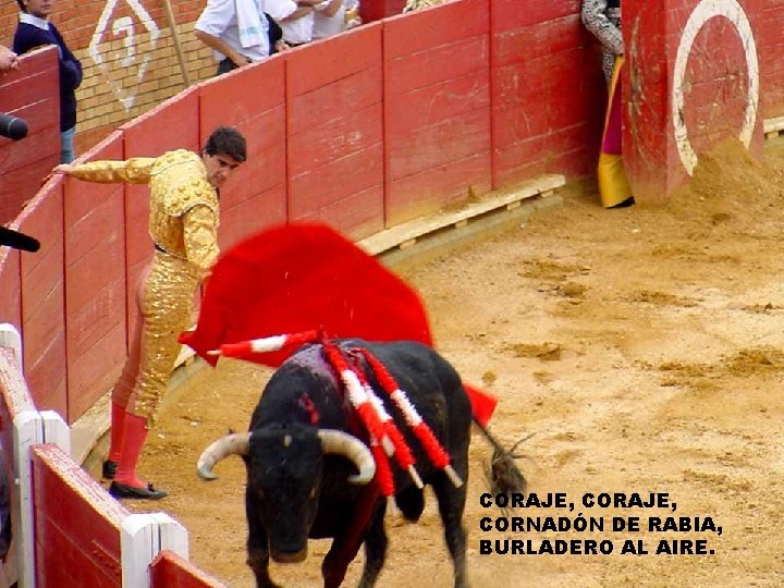 CORAJE, CORNADÓN DE RABIA, BURLADERO AL AIRE. 