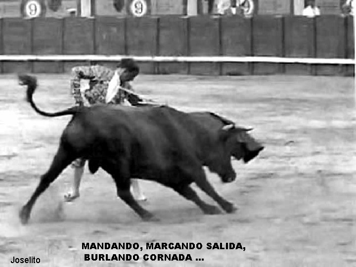 Joselito MANDANDO, MARCANDO SALIDA, BURLANDO CORNADA. . . 