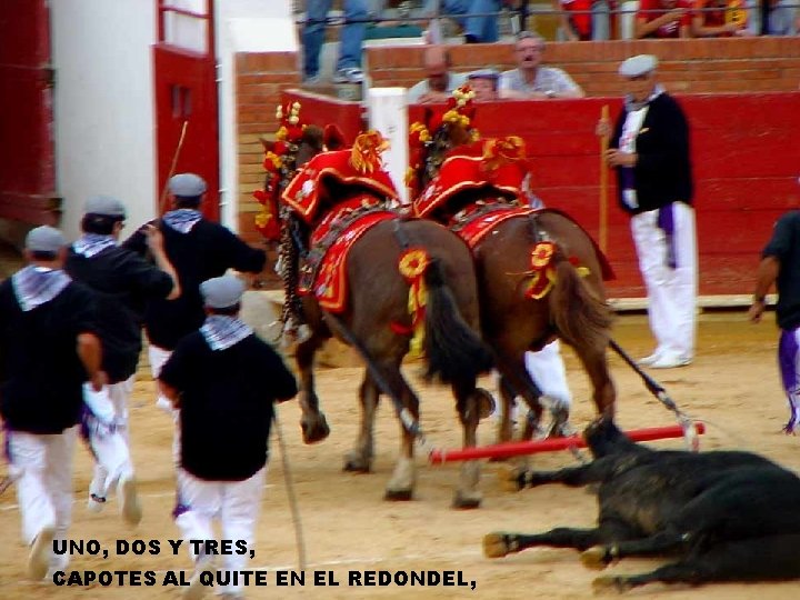 UNO, DOS Y TRES, CAPOTES AL QUITE EN EL REDONDEL, 