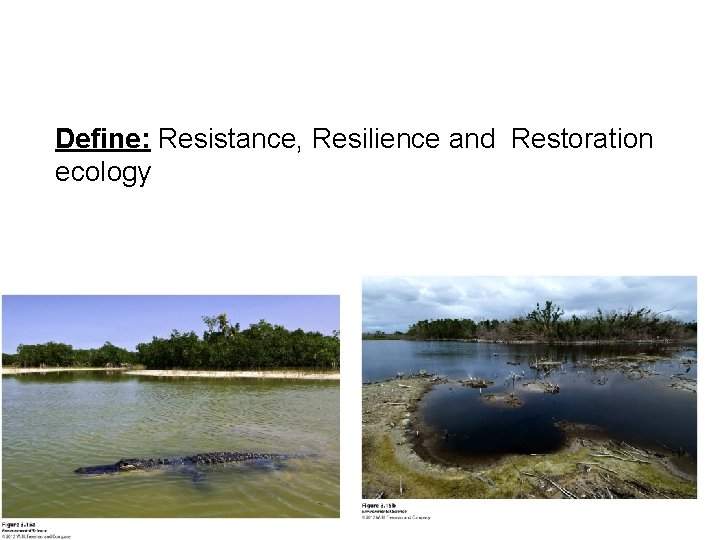 Resistance versus Resilience • Define: Resistance, Resilience and Restoration ecology 
