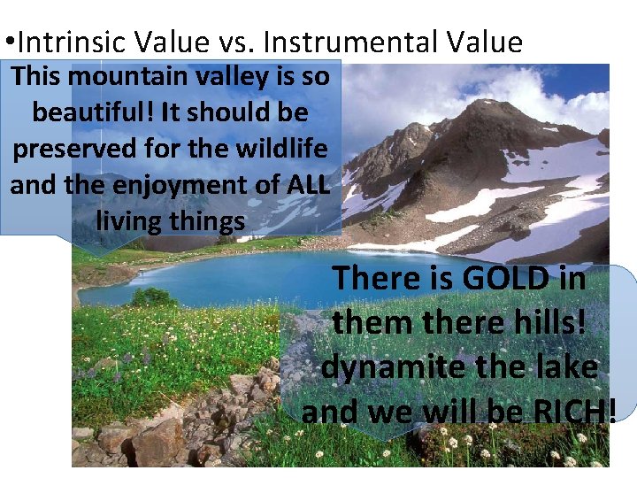  • Intrinsic Value vs. Instrumental Value This mountain valley is so beautiful! It