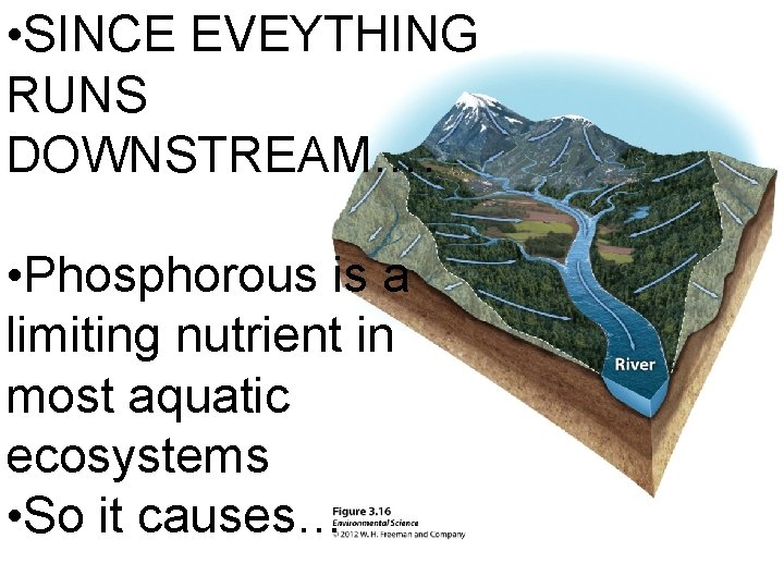  • SINCE EVEYTHING RUNS DOWNSTREAM…. • Phosphorous is a limiting nutrient in most
