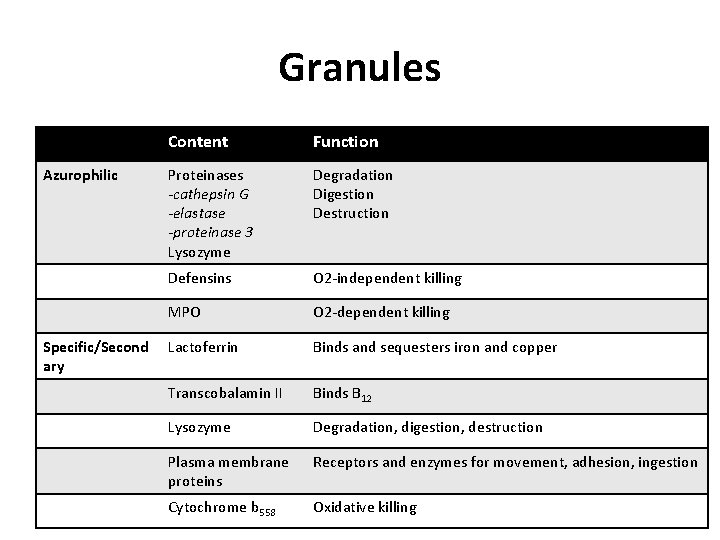 Granules Azurophilic Specific/Second ary Content Function Proteinases -cathepsin G -elastase -proteinase 3 Lysozyme Degradation