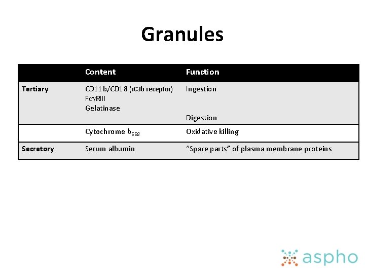Granules Tertiary Secretory Content Function CD 11 b/CD 18 (i. C 3 b receptor)