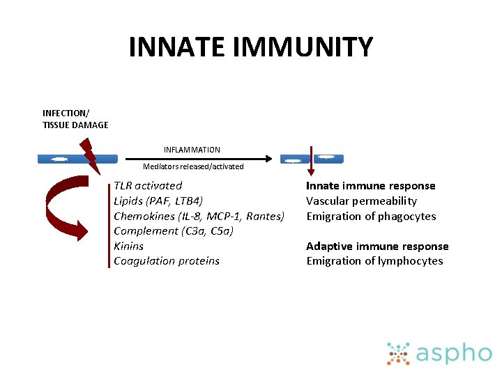 INNATE IMMUNITY INFECTION/ TISSUE DAMAGE INFLAMMATION Mediators released/activated TLR activated Lipids (PAF, LTB 4)