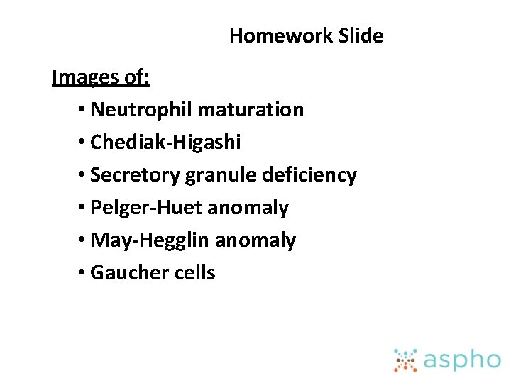Homework Slide Images of: • Neutrophil maturation • Chediak-Higashi • Secretory granule deficiency •